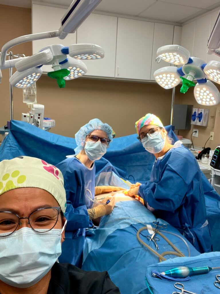 imgi_38_lbv-2024__gallery__9